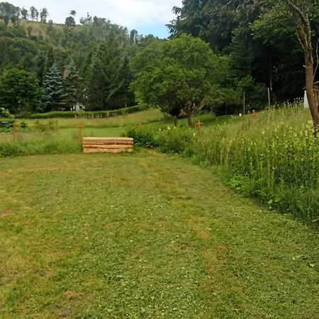 Eden Frankenblick I Rennsteig I Thueringer Wald I Wandern I Naturnah I Nahe Skipiste L Spielzimmer I Waschmaschine I Kostenlos Parken I Wlan I Spuelmaschine I Familien-ferienhaus I Waldwege Und Wanderwege בית נופש *