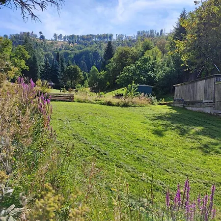 Vakantiehuis Eden Frankenblick I Rennsteig I Thueringer Wald I Wandern I Naturnah I Nahe Skipiste L Spielzimmer I Waschmaschine I Kostenlos Parken I Wlan I Spuelmaschine I Familien-ferienhaus I Waldwege Und Wanderwege