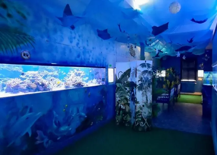 Eden Frankenblick I Familien-ferienhaus I Nahe Skipiste L Spielzimmer I Waschmaschine I Kostenlos Parken I Wlan I Spuelmaschine Tatil Evi *